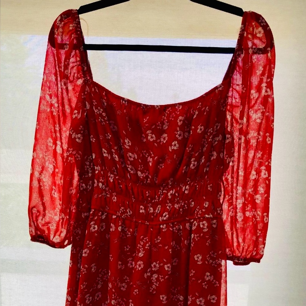 Trixxi Scarlet Floral Sheer Sleeve Dress